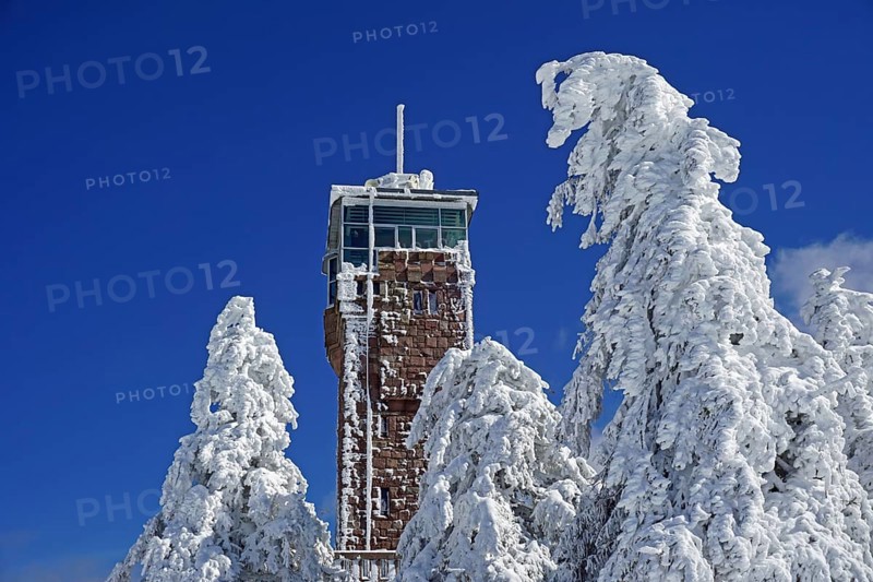 Hornisgrinde tower and snow-covered firs