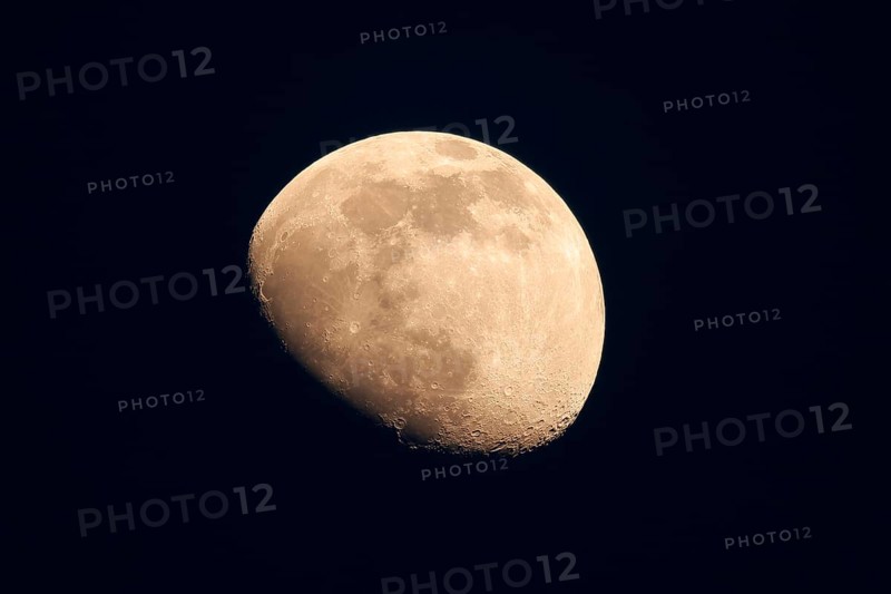 Rising moon near Speyer