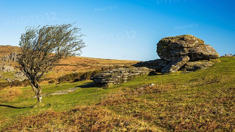 Fields and meadows in Haytor Rocks