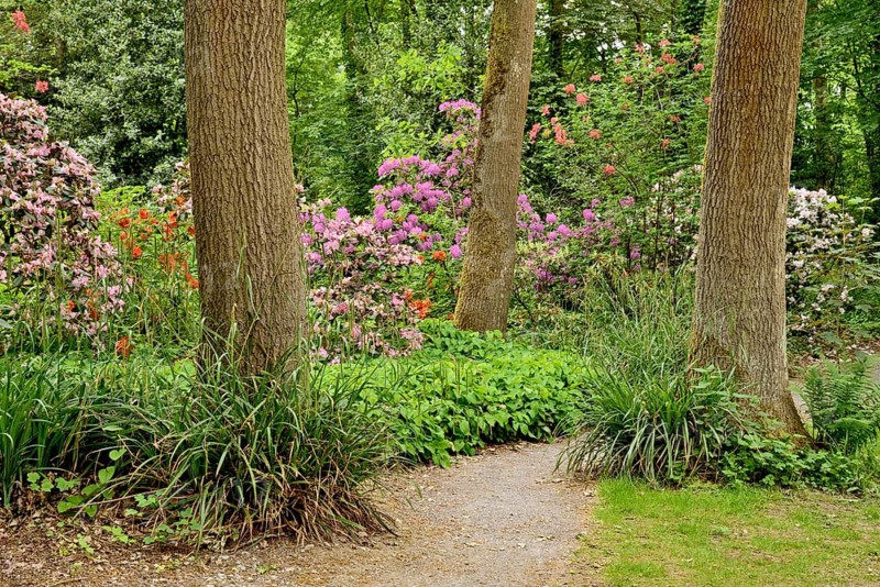 Rhododendron Park Bad Sassendorf