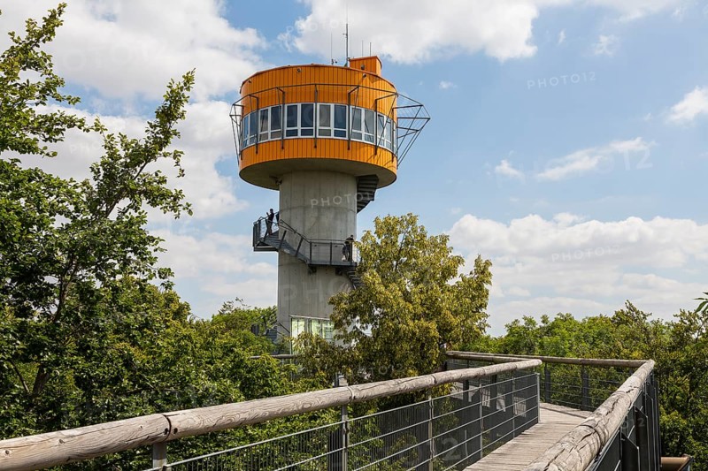 Tower at the treetop path in Hainich National Park