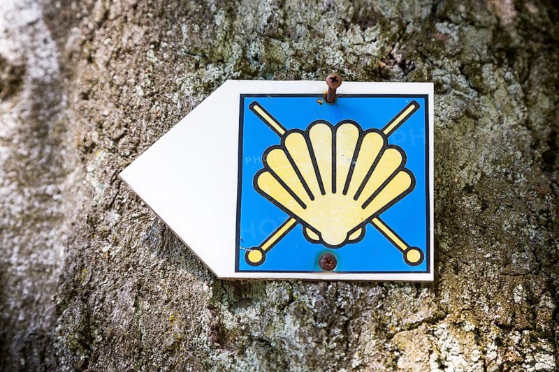 Pilgrim's shell as a signpost of the Via Regia
