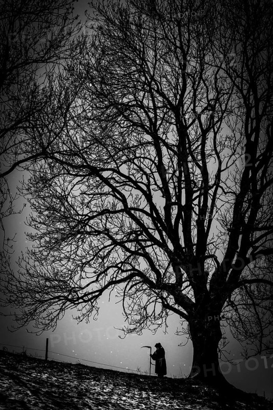 Man with scythe under tree with starry sky