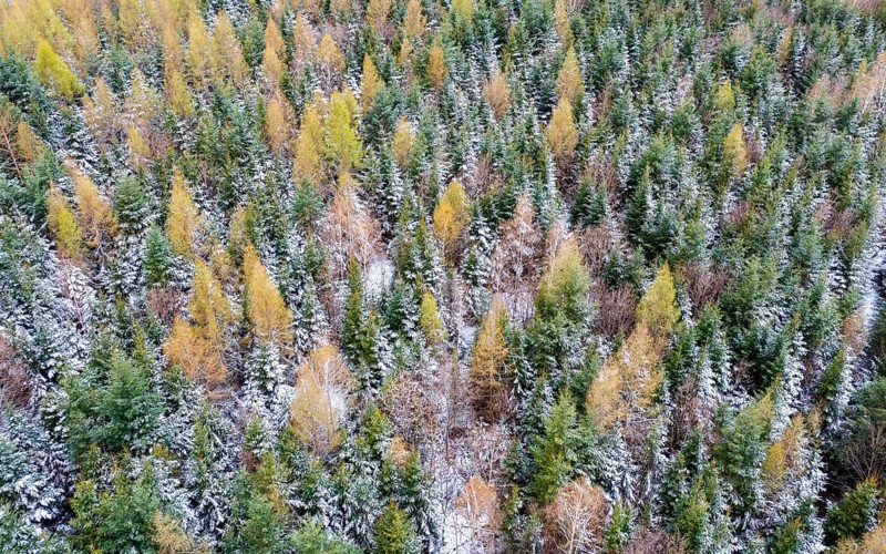 Drone image