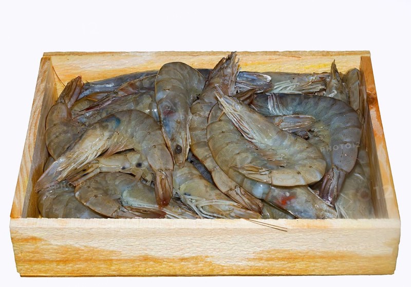 White tiger prawns
