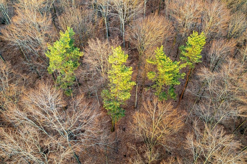 Drone image