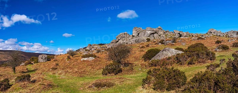 Fields and meadows in Haytor Rocks