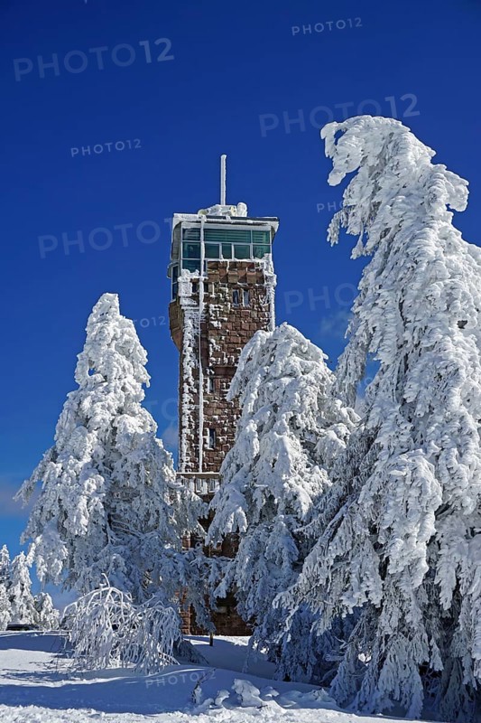 Hornisgrinde tower and snow-covered firs