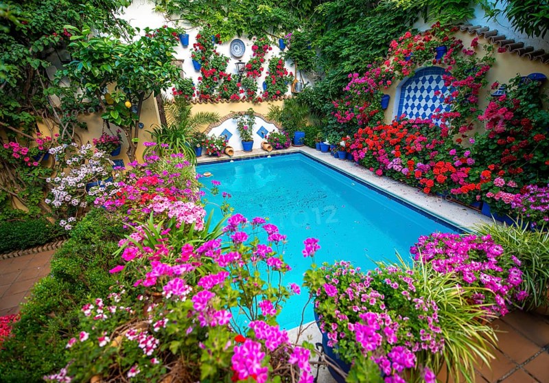 Many red geraniums in flowerpots in the inner courtyard with blue pond