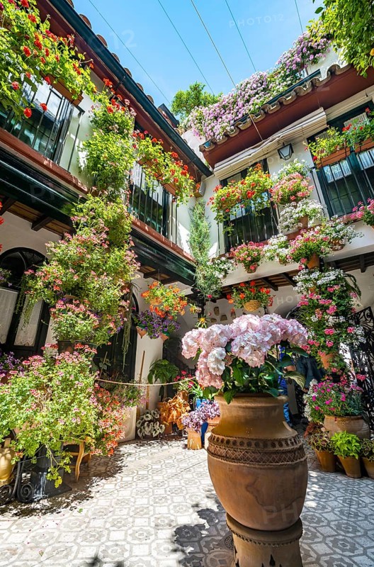 Patio decorated with flowers