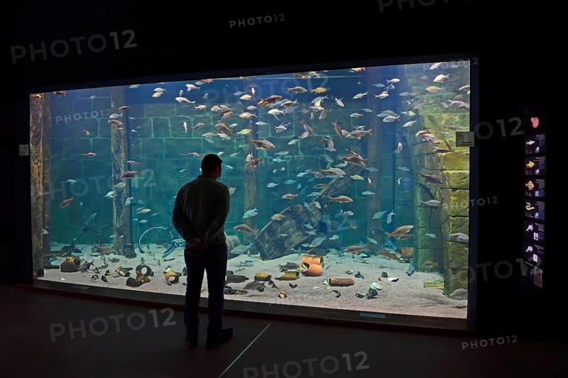 Visitor looks into huge aquarium at Ozeaneum
