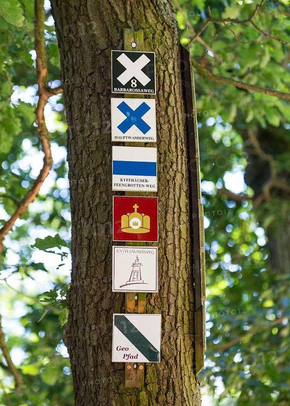 Hiking sign for themed hikes on a tree
