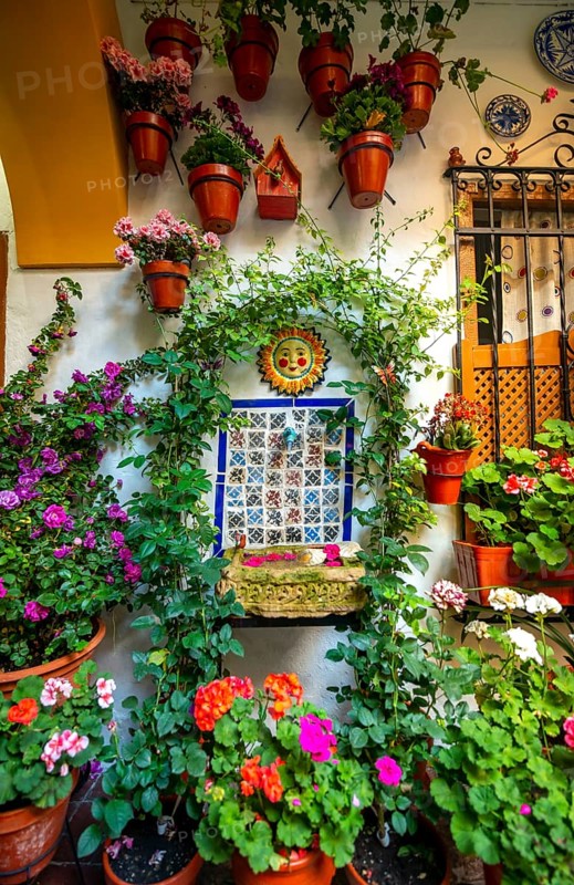 Fountain in the courtyard decorated with flowers