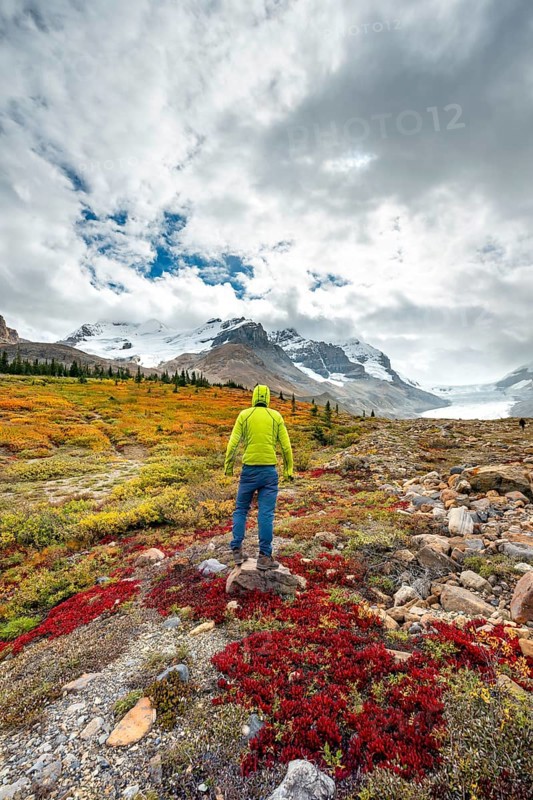 Young man standing in barren autumn landscape