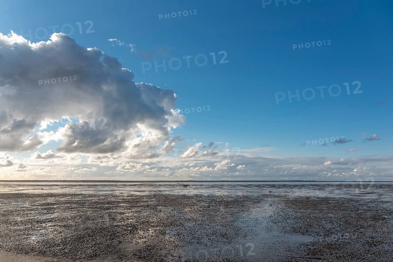 Beach at low tide