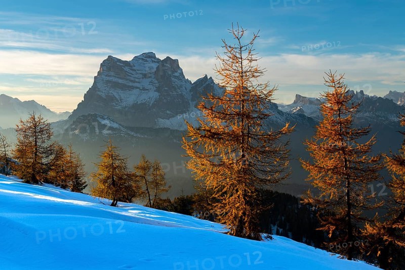 Peak of Monte Pelmo in the evening light with larch forest in the foreground