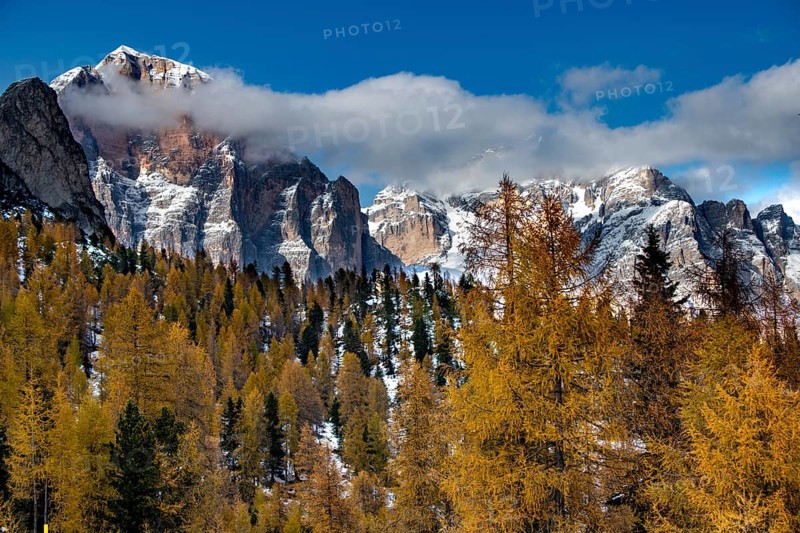 Snowy mountain peaks of the Civetta group with autumn lark forest in the foreground
