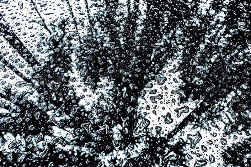 Car roof with raindrops and reflection of the forest