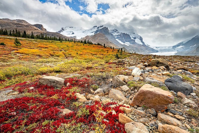 Barren autumn landscape
