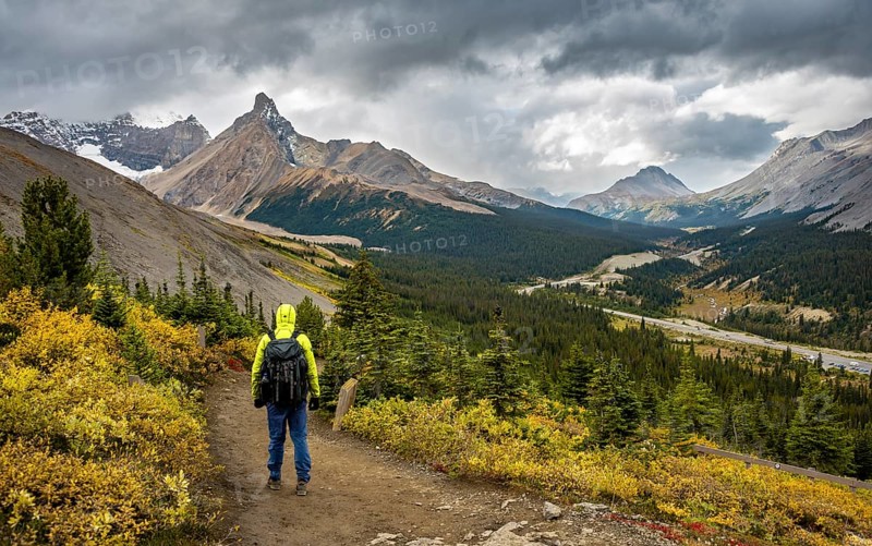 Hiker between autumnal bushes