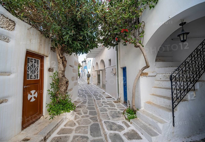 Entrance door and staircase in a small tree-covered white alley