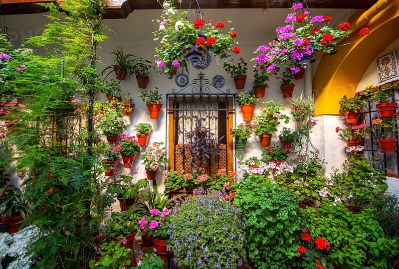 Window in the courtyard decorated with flowers