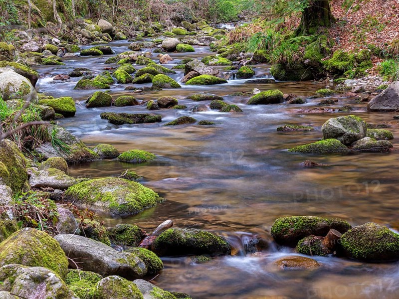 Grobbach