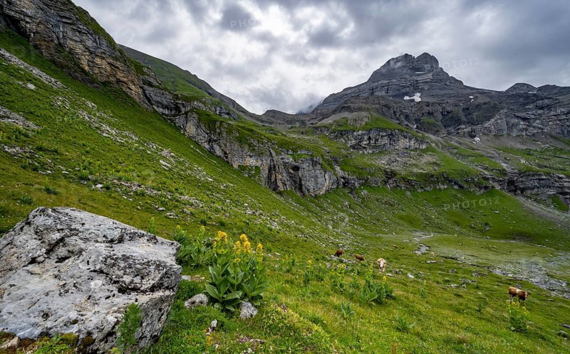 Mountain Chilchflueh