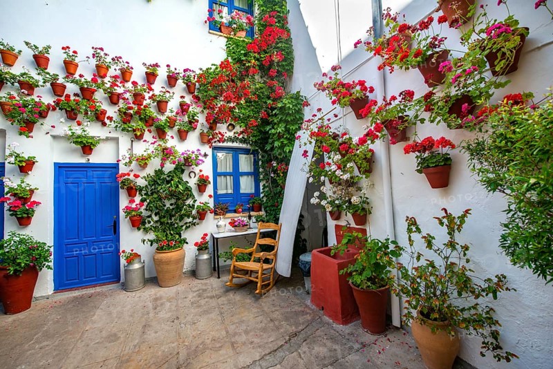 Blue entrance door in courtyard decorated with flowers