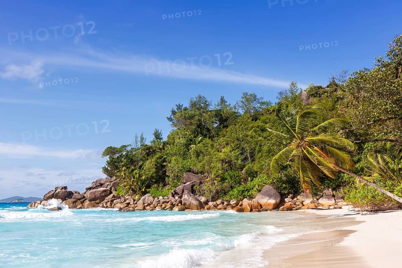 Anse Georgette beach palm sea water