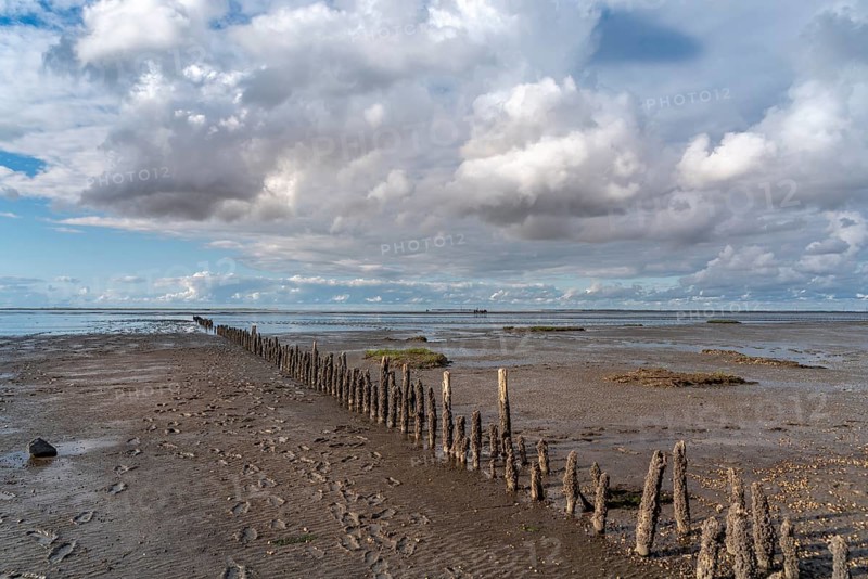 Beach at low tide with wooden groynes