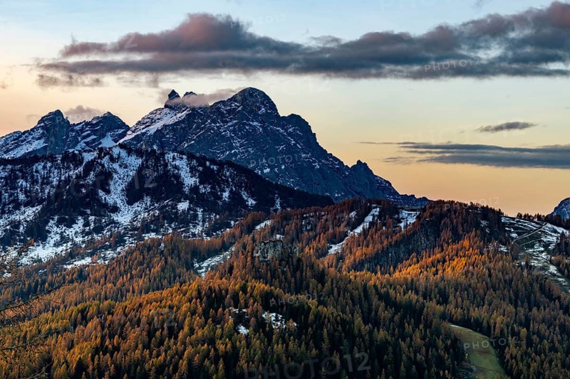 Snowy mountain peaks of the Civetta group with autumn lark forest in the foreground
