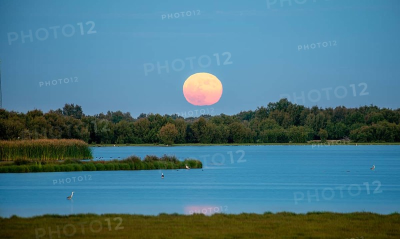 Red setting sun over a lake