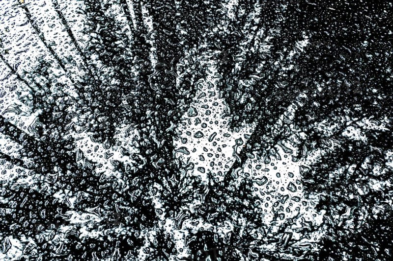 Car roof with raindrops and reflection of the forest