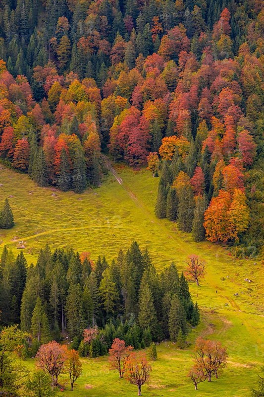 Colourful autumn landscape in the Risstal