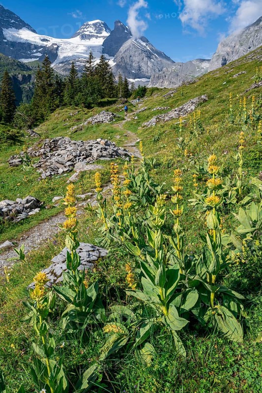 Hiking trail
