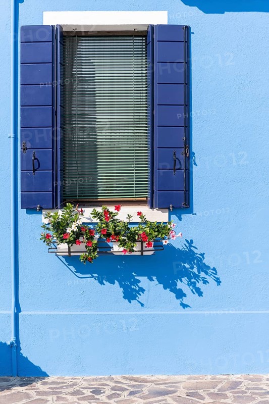 Blue wall with window and flower box