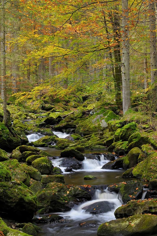 Stone gorge in autumn