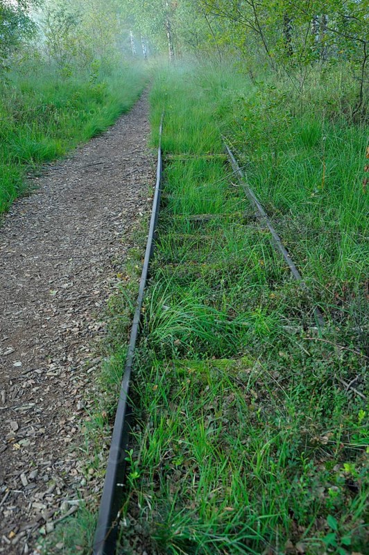 Old tracks of the moor railway