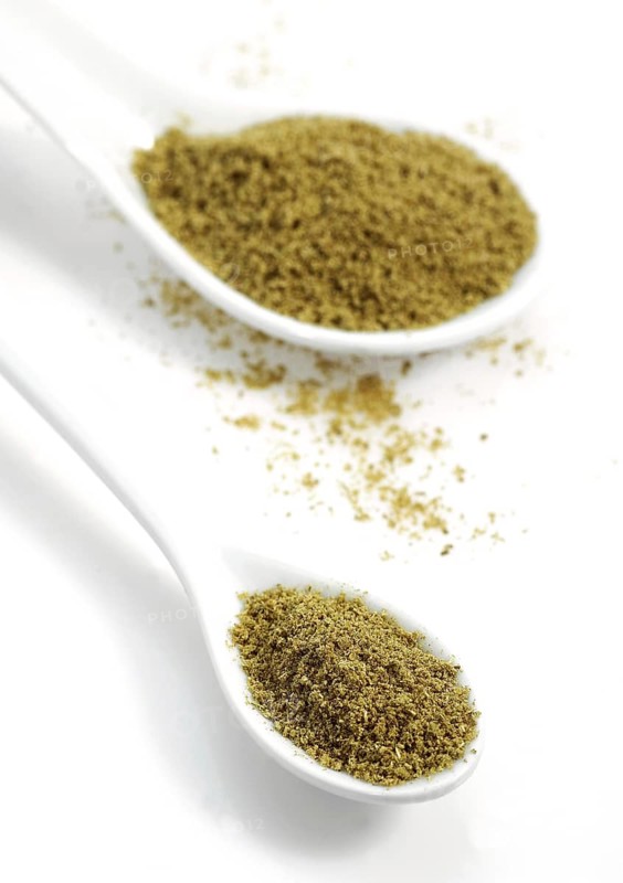 Fennel powder
