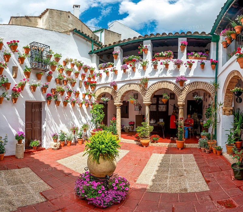 Patio decorated with flowers