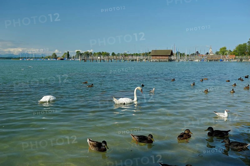 Chiemsee