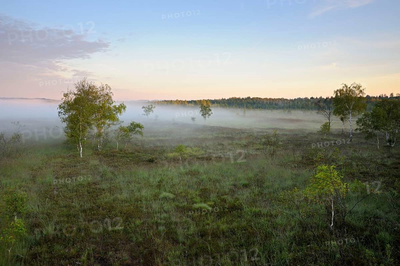 View from lookout tower onto moor