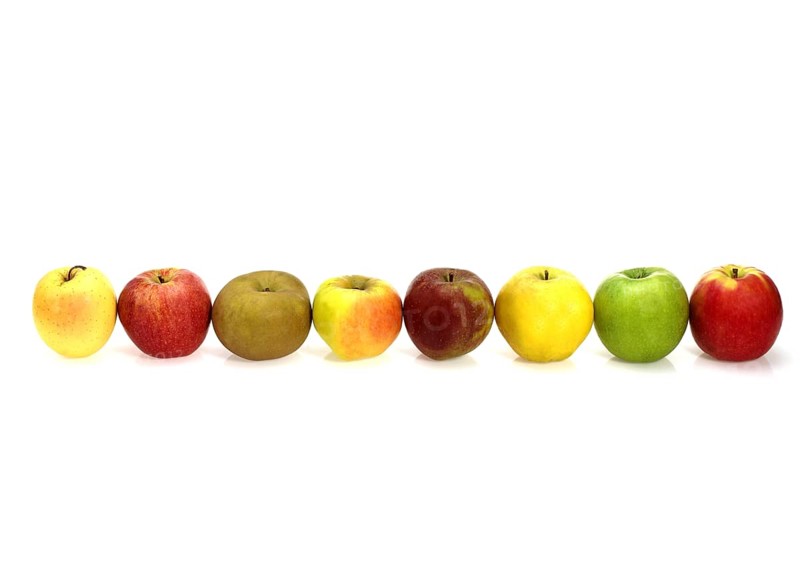 Malus domestica