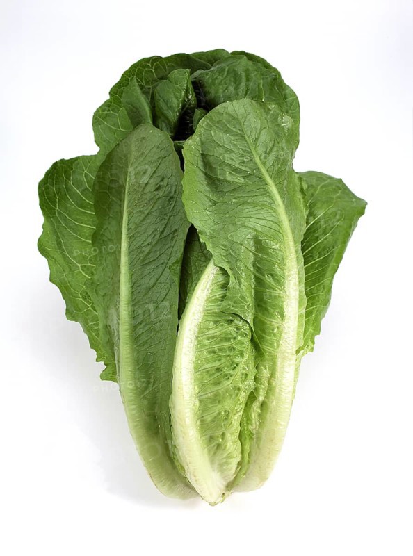 ROMAN SALAD