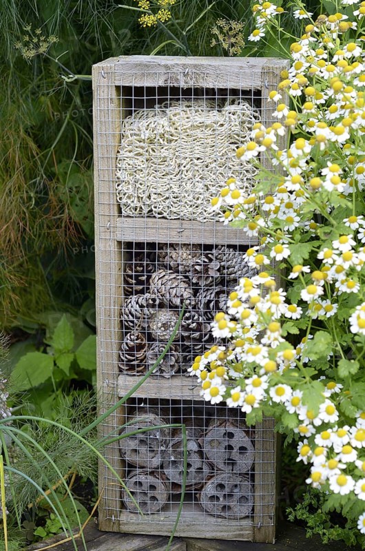 'Bug box' in garden