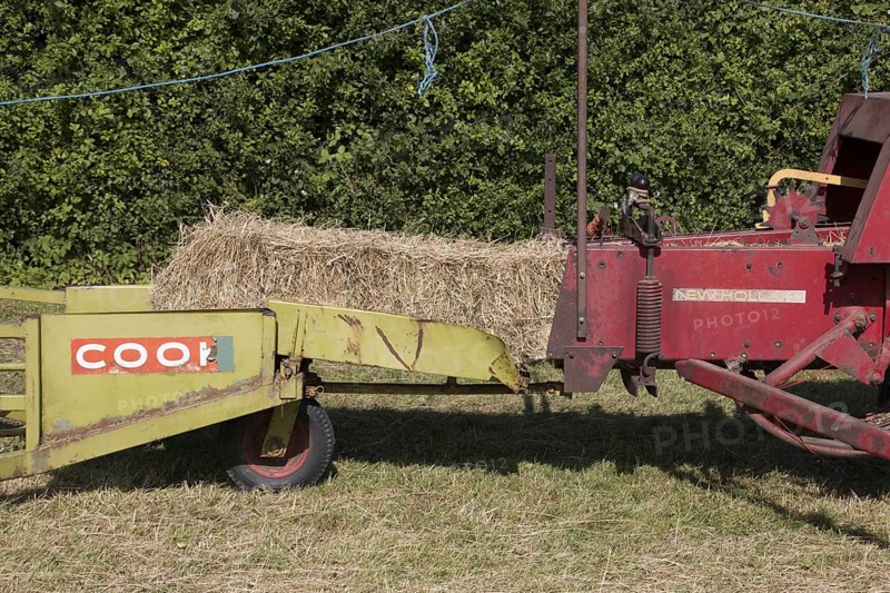Haymaking