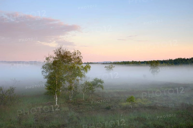 View from lookout tower onto moor