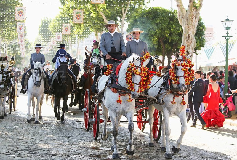 Horse-drawn carriages