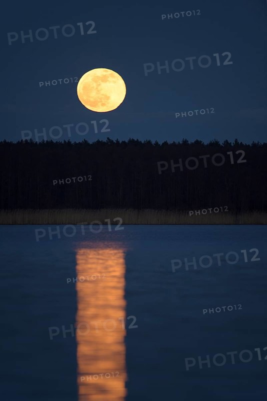 Full moon